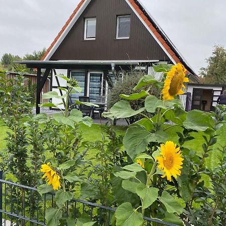 Ferienhaus Kiebitz Dorumer Neufeld Dış mekan fotoğraf