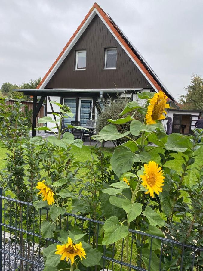 Ferienhaus Kiebitz Dorumer Neufeld Dış mekan fotoğraf